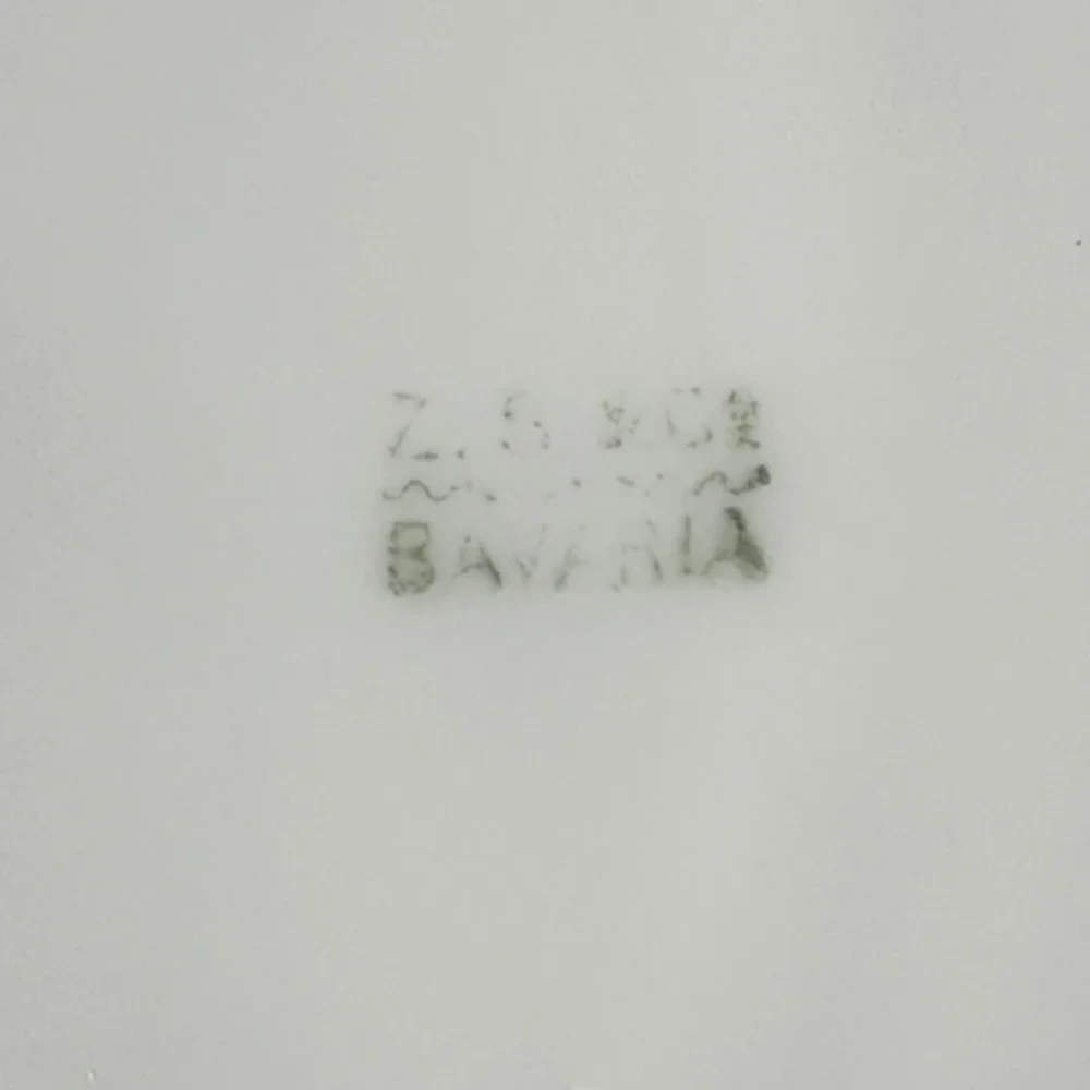 Royal Munich Z.S. & Co‎ Bavaria Antique Floral Cake Plate 10.5